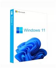 لایسنس ویندوز مایکروسافت Windows 11 Home